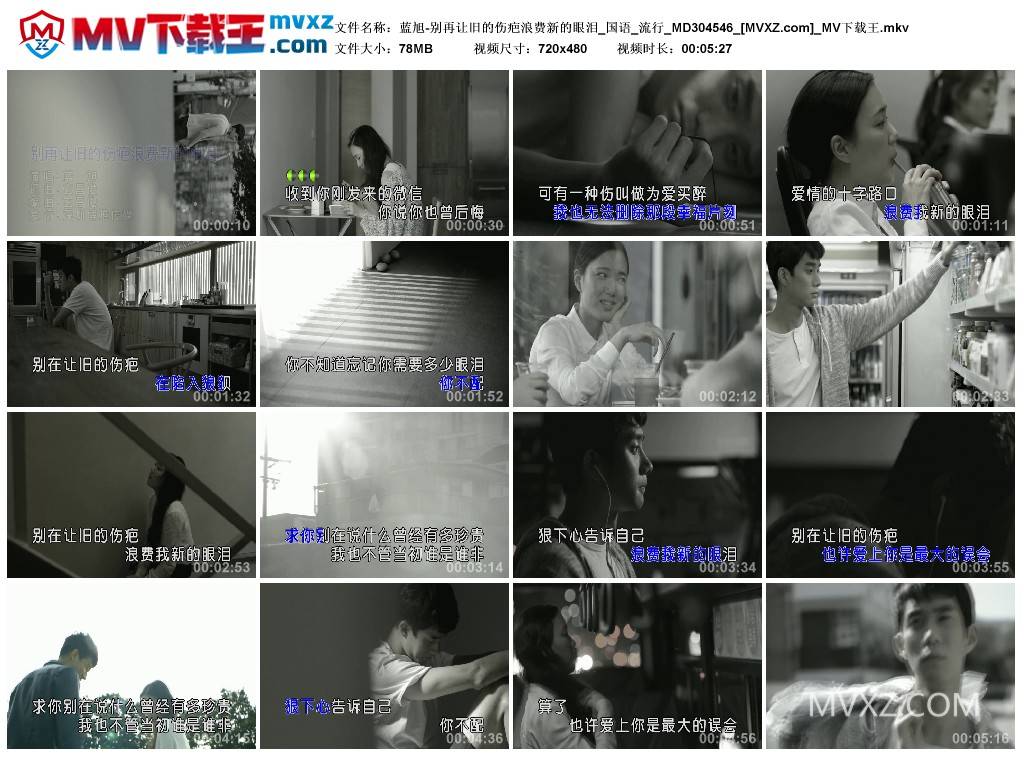 蓝旭-别再让旧的伤疤浪费新的眼泪_国语_流行_MD304546